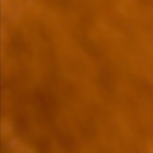 Meet your Posher, Bontle